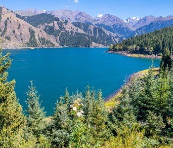 Image Tour